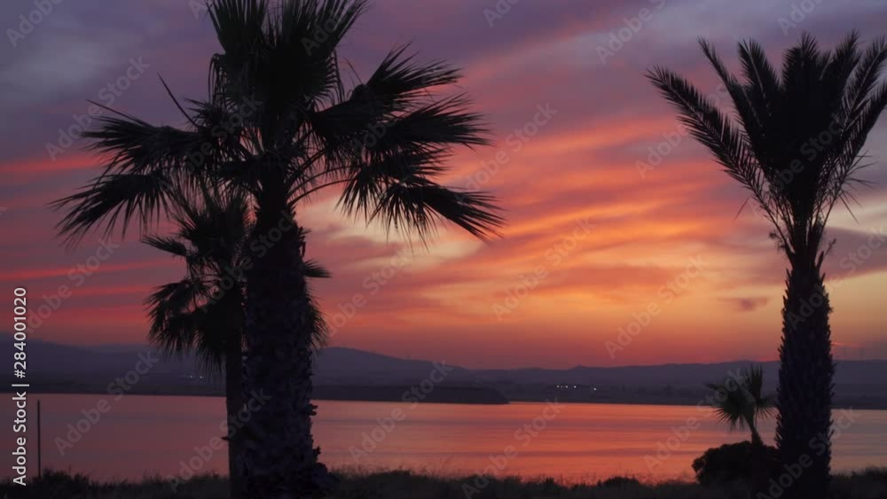 Close up of two beautiful palm trees with colourful sunset. Macro shot of dark palm silhouettes against pink and blue sky at dusk. Hills and lake water on background Close up of two beautiful palm trees with colourful sunset. Macro shot of dark palm silhouettes against pink and blue sky at dusk. Hills and lake water on background
