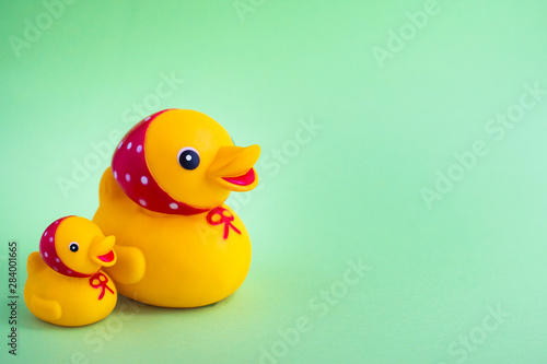 cute rubber duck green background