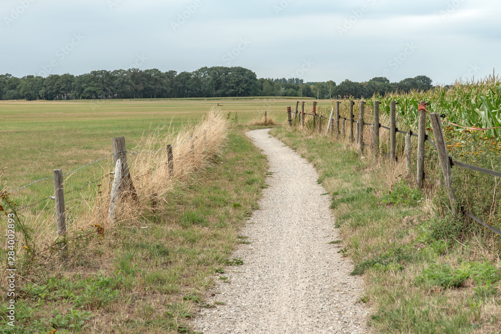 Dirt pathway between fence and corn field under cloudy sky. Long exposure shot.