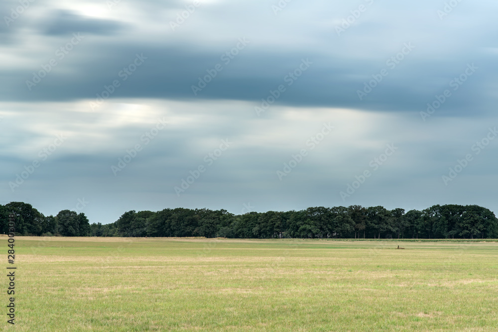 Fototapeta premium Meadow with forest on horizon under dark cloudy sky. Long exposure shot.