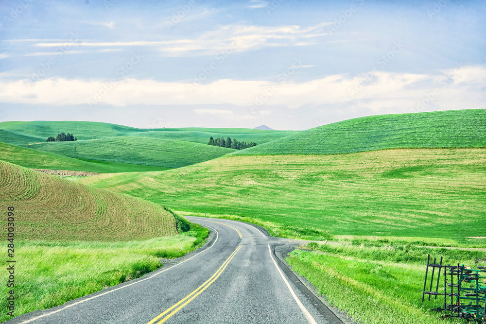 Original textured photograph of a road winding through rolling hills of green growing crops