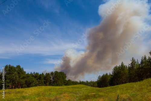 burning forest, dense smoke clouds over the forest, natural calamity scene, taiga, Russia