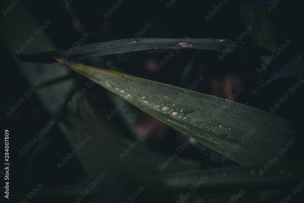 abstract background with lots of light spots