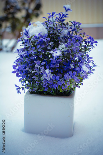 Obraz na płótnie bouquet of blue flowers in glass vase on white background w salonie