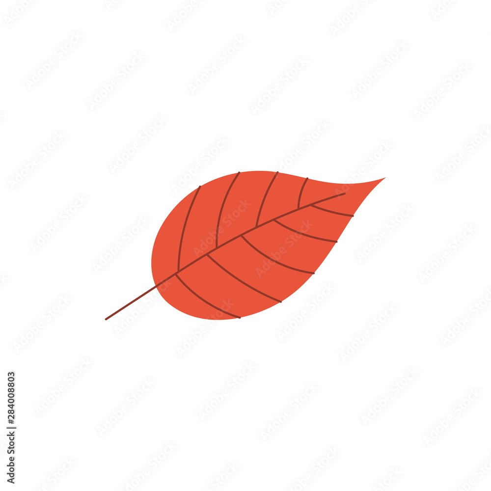 Autumn red tree leaf in flat style isolated on white background. Autumn red tree leaf in flat style isolated on white background.