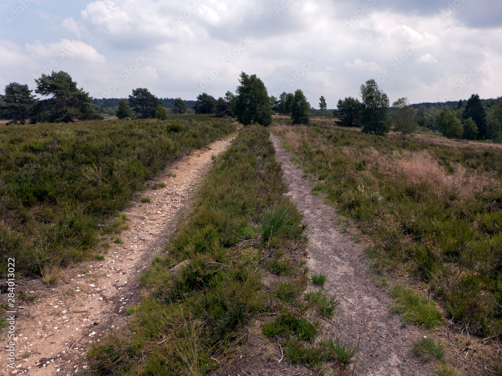 Wege durch die Lüneburger Heide bei Wilsede und Undeloh. Wanderung auf dem Heidschnucken Weg. Wege durch die Lüneburger Heide bei Wilsede und Undeloh. Wanderung auf dem Heidschnucken Weg.