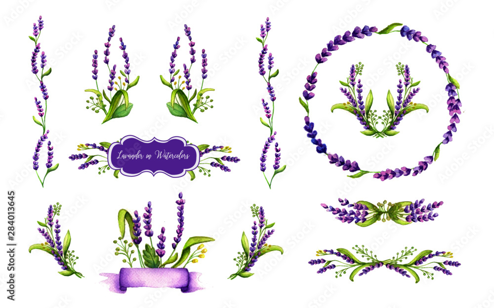 Conjunto de Lavandas