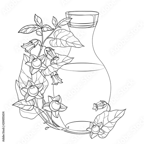 Bilde på lerret Corner bunch with outline toxic Atropa belladonna or deadly nightshade flower, berry, leaf and bottle in black isolated on white background
