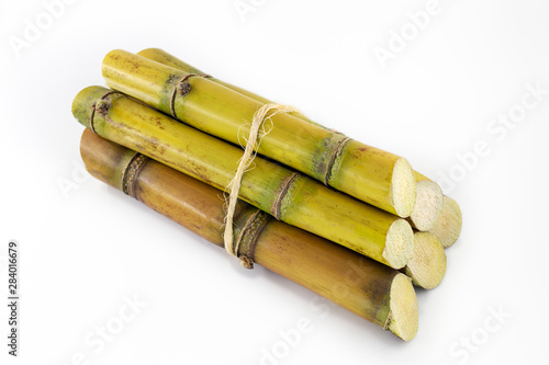 Sugar cane  brazilian  cane  piece of cane  fresh  sugar cane  white  background  cane  fresh. Plant used in the production of fuel. White background.