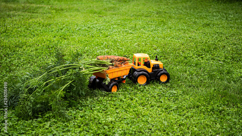 A small orange tractor toy carries in a trailer a bunch of organically grown carrots in the garden. Copy space