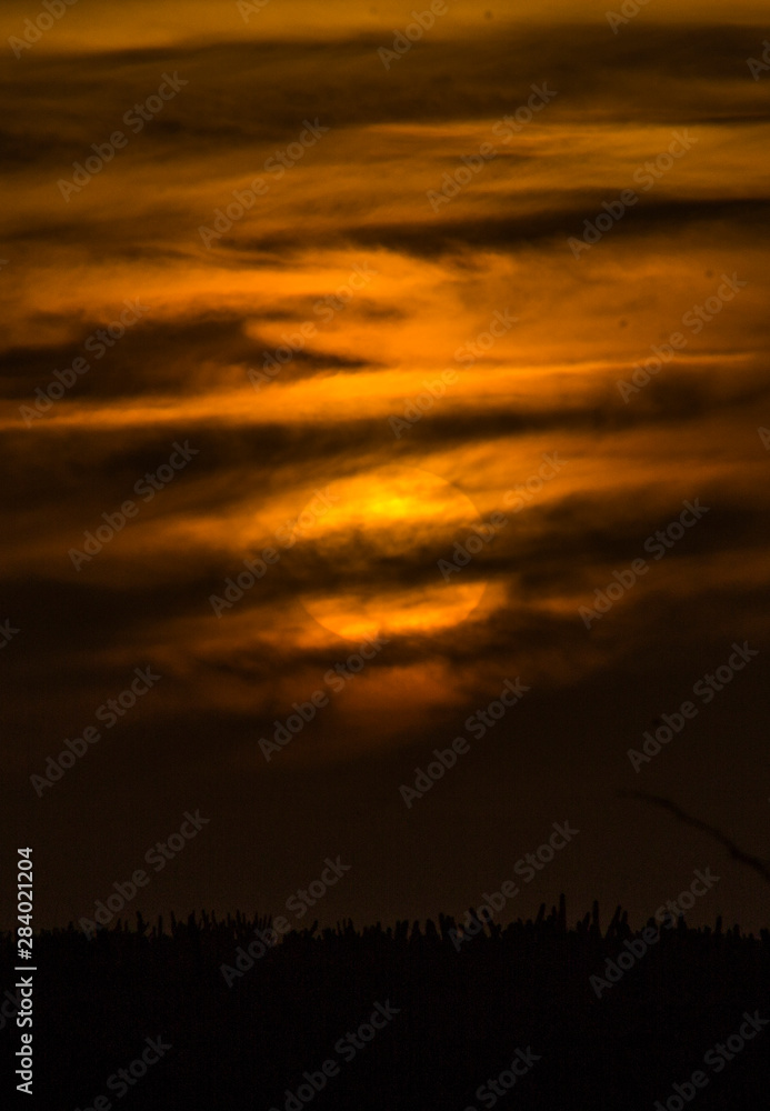 A Savage and Beauty Sunset in the desert A Savage and Beauty Sunset in the desert