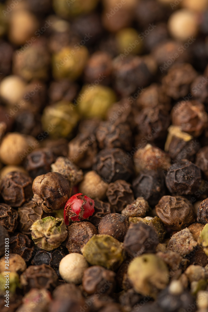 Mixed pepper background. black peppercorns and one red pea, closeup. Vertical frame Mixed pepper background. black peppercorns and one red pea, closeup. Vertical frame
