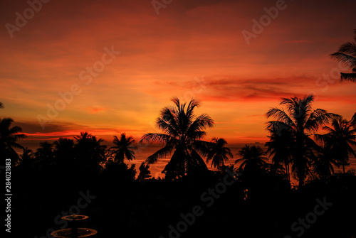 Silhouettes of palm trees on the background of red sunset on the sea
