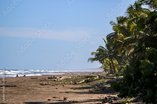 Traumstrand in Tortugero photo