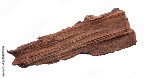 piece of bark isolated against white background