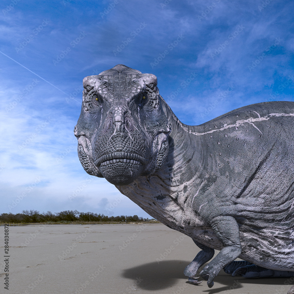 Fototapeta premium tyrannosaurus