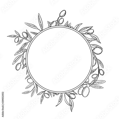 Olive branches with fruits outline frame. Olea europaea twigs linear botanical sketches.