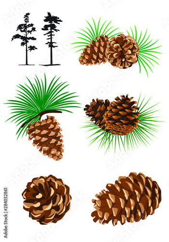 Pine cones and pine trees vector illustrations