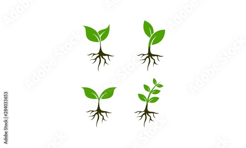 Plant set template vector
