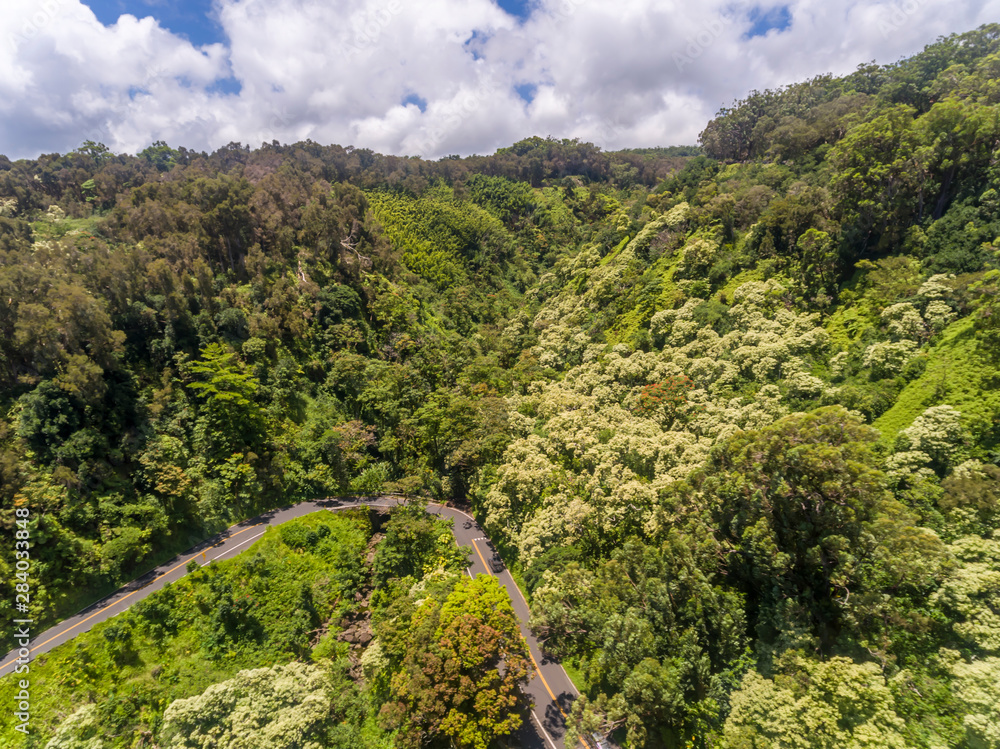 Aerial view of the road to Hana Aerial view of the road to Hana