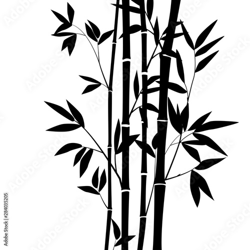 Fototapeta Naklejka Na Ścianę i Meble -  Bamboo forest for background EPS 10