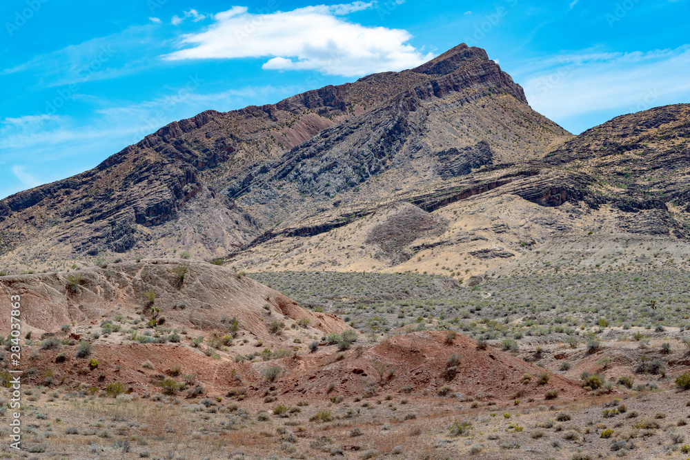 USA, Nevada, Clark County, Gold Butte National Monument. Dry annual grasses color Lime Ridge yellow. Red tinted gypsum hills in foreground. USA, Nevada, Clark County, Gold Butte National Monument. Dry annual grasses color Lime Ridge yellow. Red tinted gypsum hills in foreground.