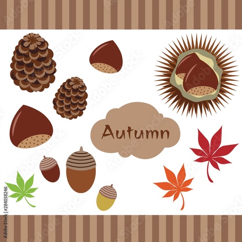 秋のイラスト素材　栗　松ぼっくり　紅葉　どんぐり