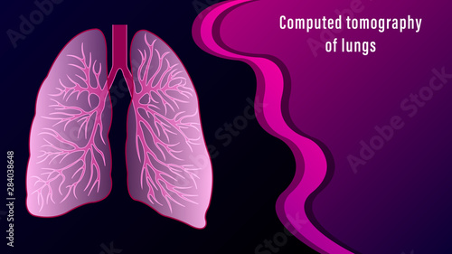 tomography of lungs of the human