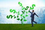 Money tree concept with businessman in growing profits