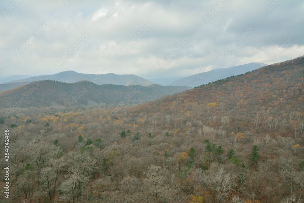 Cloudscape in autumn taiga 6