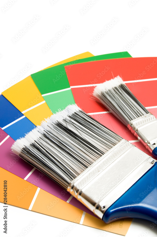 Blue Paint Brushes with Paint Samples to Paint the House