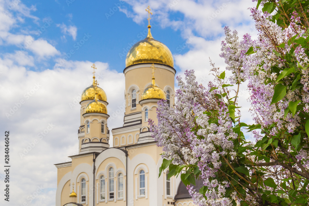 Golden domes of the church and bush of lilac