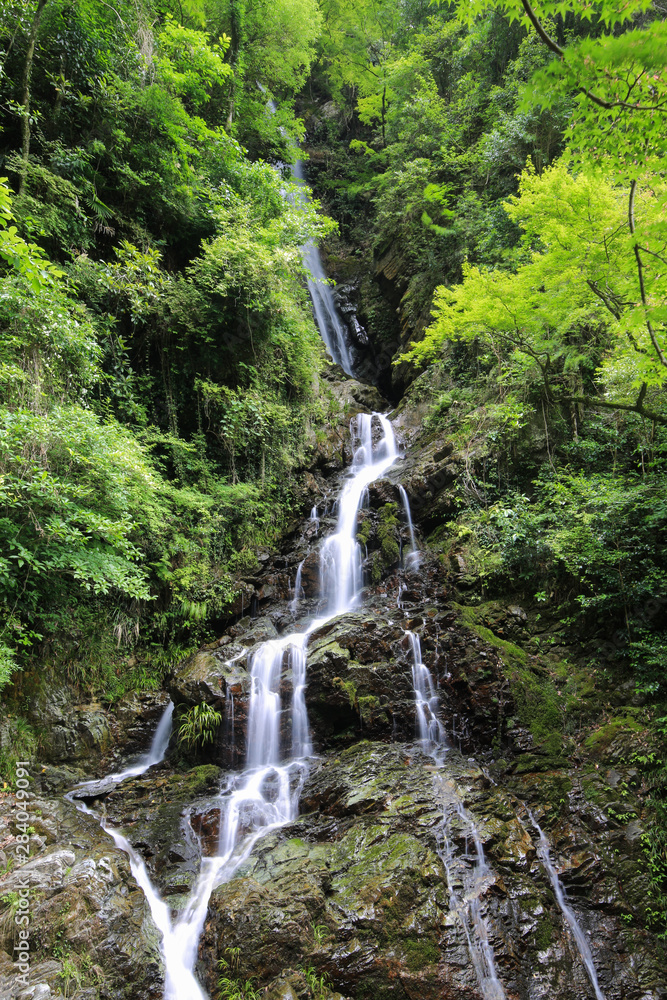 愛媛県大洲市 白滝公園 雌滝 愛媛県大洲市 白滝公園 雌滝