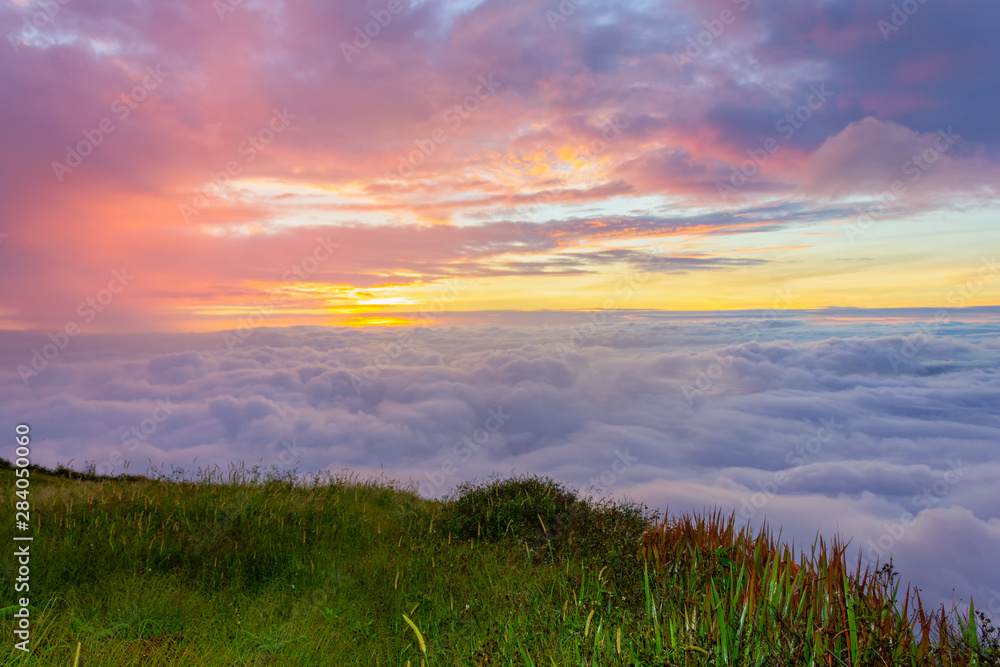 Morning mist at Phu Tubberk, Thailand