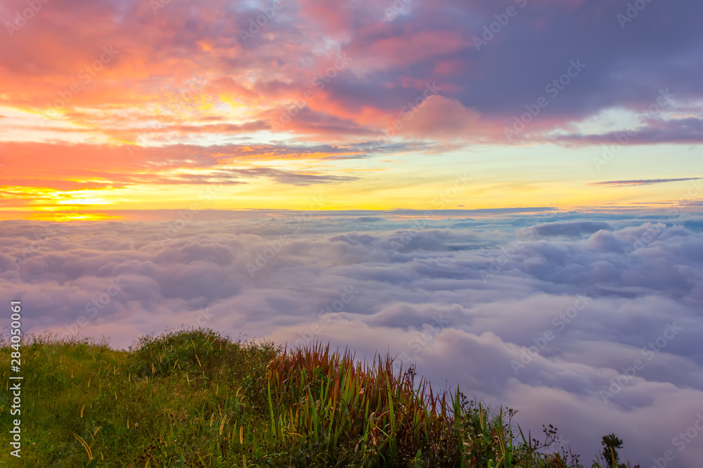 Fototapeta premium Morning mist at Phu Tubberk, Thailand