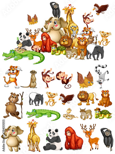 Many animals on white background © GraphicsRF