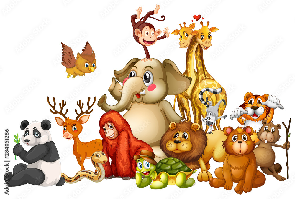 Obraz premium Many animals on white background