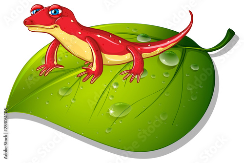 Red gecko on green leaf