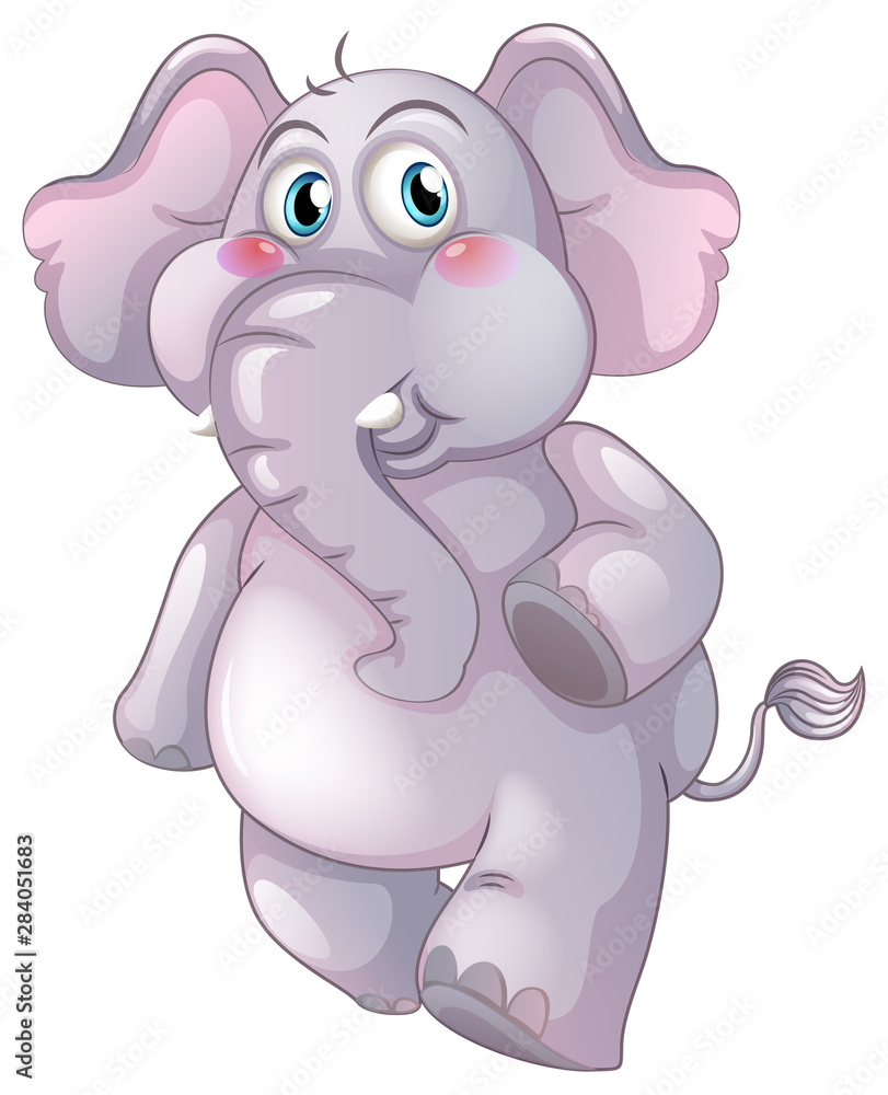 Gray elephant on white background