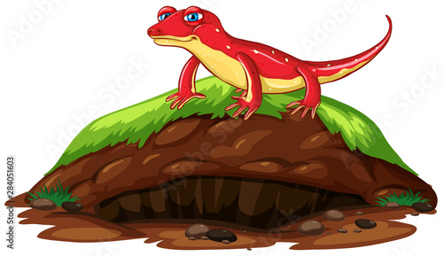 Nature scene with red gecko on hill