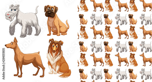 Seamless and isolated animal pattern cartoon