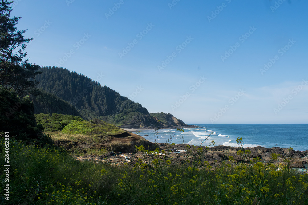 Pacific Coast Pacific Coast