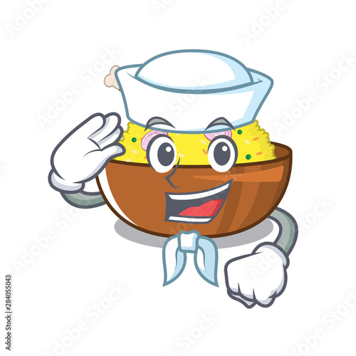 Sailor biryani chicken above the cartoon plate