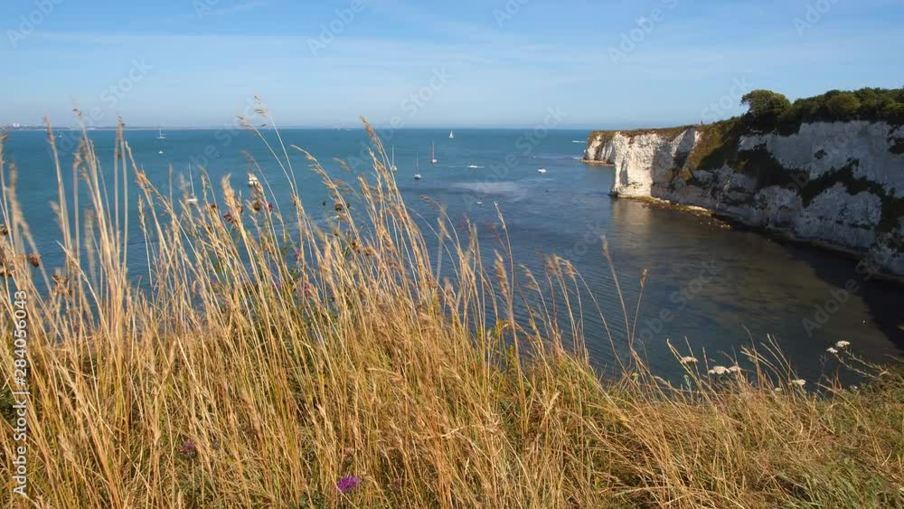 White cliff of Studland Bay near Bournemouth, Dorset, UK, boats, shaking grass in foreground, panning right, sunny day, White cliff of Studland Bay near Bournemouth, Dorset, UK, boats, shaking grass in foreground, panning right, sunny day,
