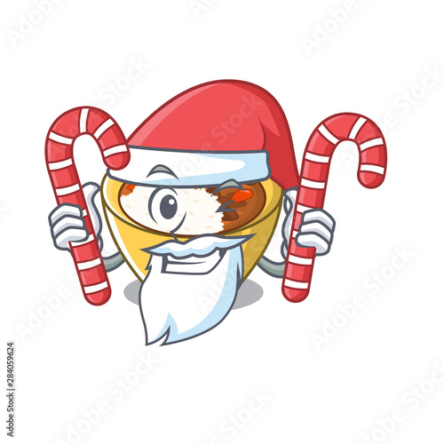 Santa with candy curry rice in the character shape