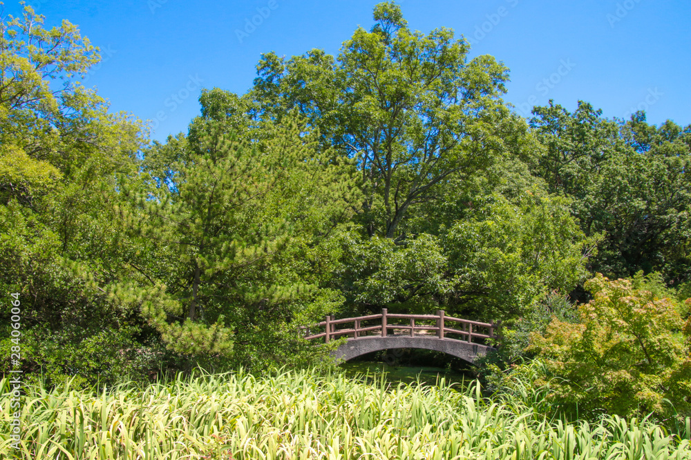 Obraz premium 屋島