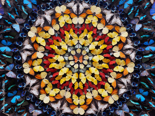 Canvas Print A lot of colorful butterflies in circles as a wall decoration.