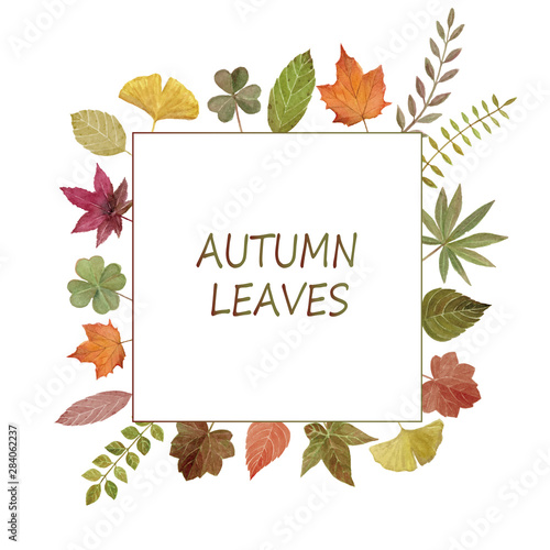 秋の葉 手描き水彩イラスト フレーム