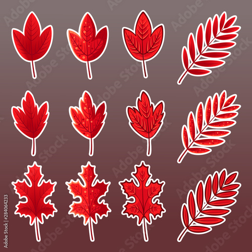 Set of vector illustrations of complex red leaves in a flat style