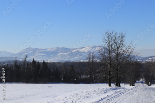 Magical winter landscape in foothills of Beskydy in czech republic, center of Europe. In front of image is frost forest road and background top of mountains with clear blue sky © Fauren